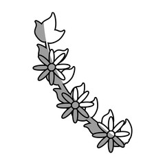 branch flower decoration celebration outline vector illustration eps 10
