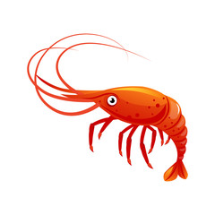 Shrimp, sea creature and seafood. Colorful cartoon character v