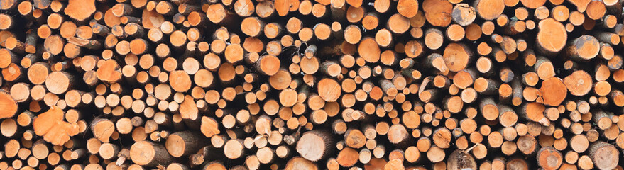 Stacked timber in a dutch forrest