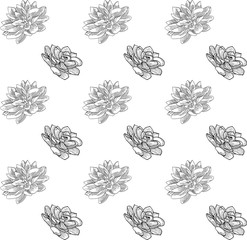 Vector Black Seamless Pattern with Drawn Flowers.