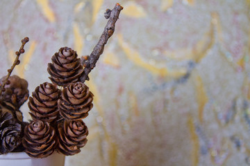 Хвойные шишки в белом стакане Фон Крупным планом