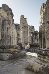 Fototapeta premium View of Temple of Apollo in antique city of Didyma, Aydin,Turkey