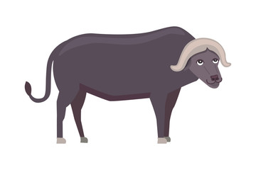 Buffalo cartoon vector illustration isolated