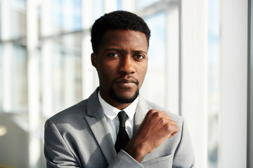 Elegant ceo in suit and tie looking at camera