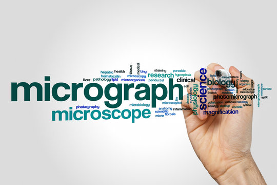 Micrograph word cloud