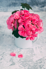Pink flowers