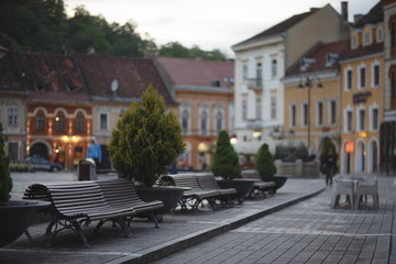 Fototapeta na wymiar Evening street with benches and flowerbeds