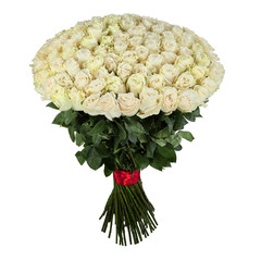 White roses. Isolated large bouquet of 101 White rose