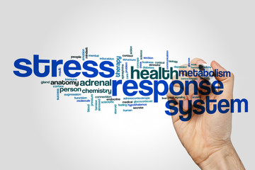 Stress response system word cloud concept