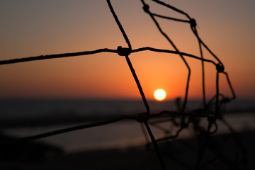 sol en las redes de Doñana
