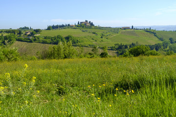 Landscapes around San Gimignano