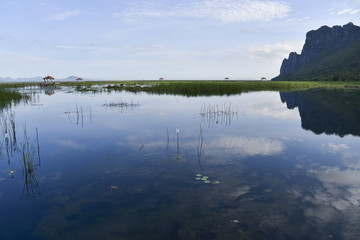 Beautiful blue sky reflect on lagoon