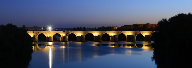 Obraz na płótnie Canvas Pont Romain de Cordoue (de nuit)