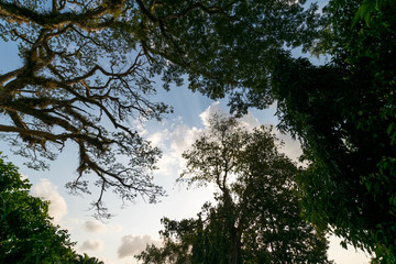 The area of Wat Khu Tao,  Mae Tom, Bang Klam, Songkhla, Thailand