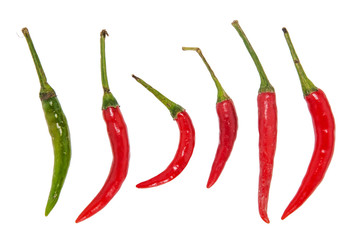 Red chili on the white background