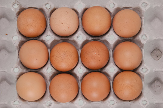 Close-up view of raw chicken eggs in egg box