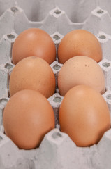 Close-up view of raw chicken eggs in egg box