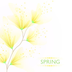 Vector background with delicate flowers