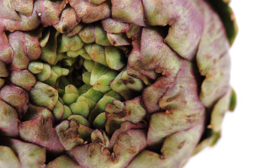 fresh artichoke texture