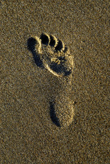 Footprint in the Sand at Beach