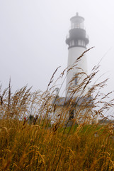 Lighthouse and Grass with Fog