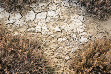 Dry land texture, background image.
