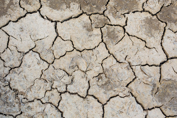 Dry land texture, background image.
