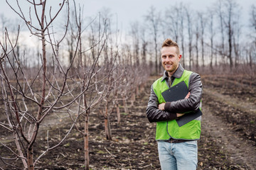 Agronomist or farmer examine trees in orchard.