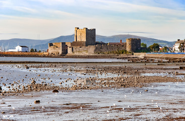 Fototapety na wymiar - Fototapeta24.pl