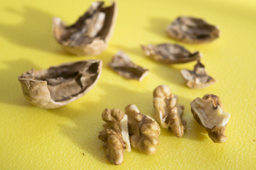 shelled walnuts and nutshells