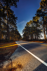 Fototapeta premium OBX (Outer Banks)