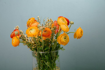 Ranunkeln in der Blumenvase auf einem Holztisch