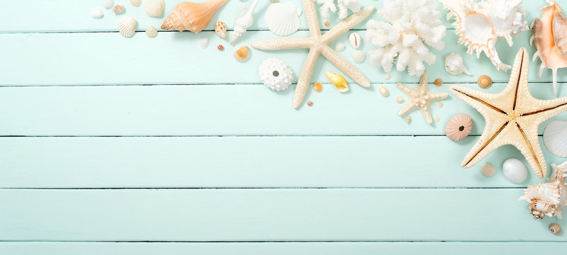 seashell and starfish on the wooden board