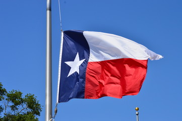 Texas Flag