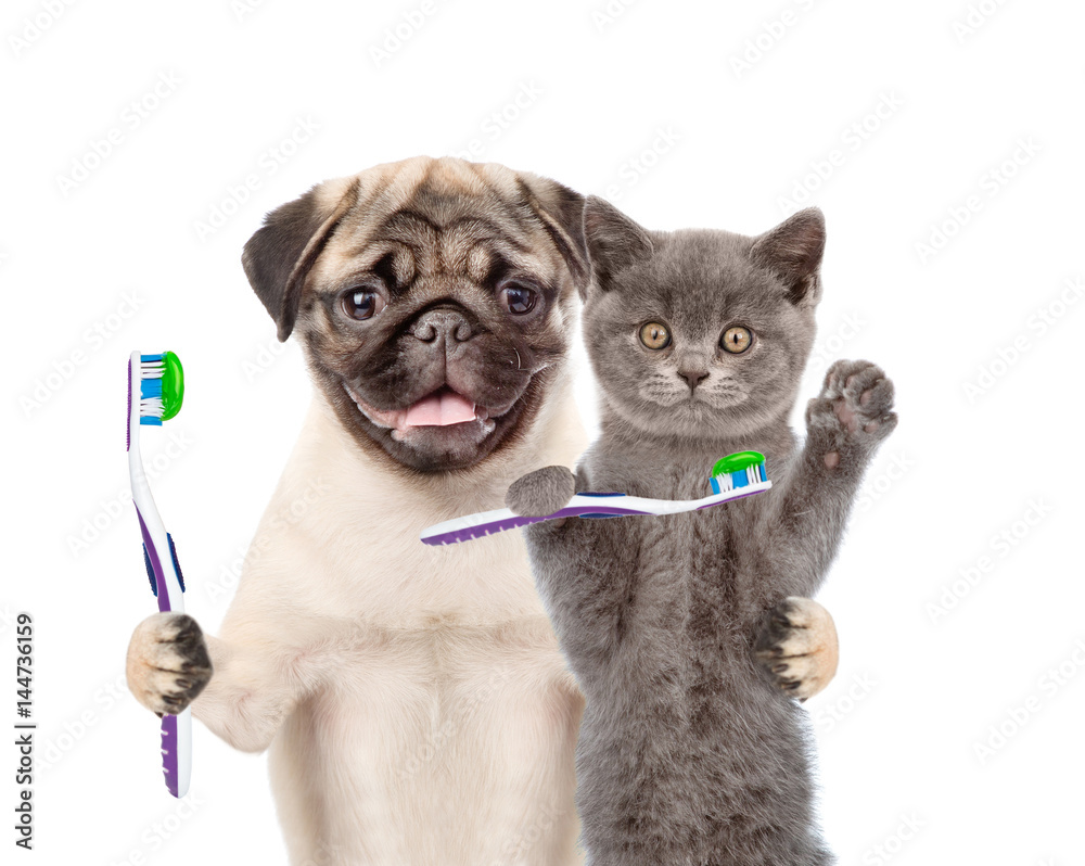 Aufkleber puppy and kitten with toothbrushes. isolated on white background
