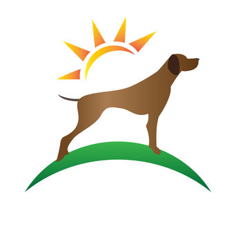 Dog In The Park Icon Silhouette Logo