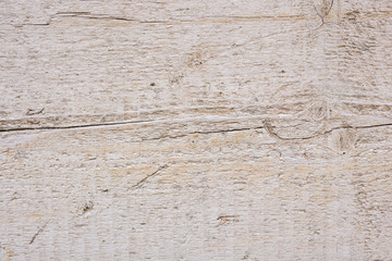 closeup of old wood texture