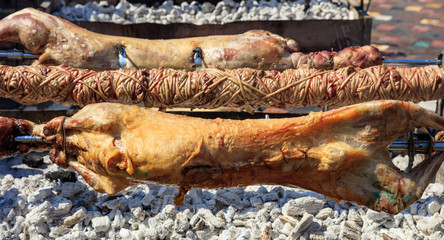 Whole lambs and kokorec on coals fire