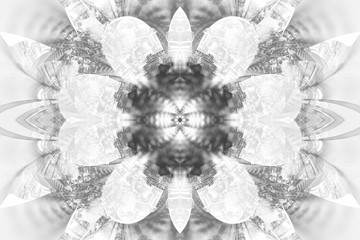 Abstract flower mandala on white background. Intricate symmetrical pattern in grey colors. Fantasy fractal design for posters, postcards, wallpapers or t-shirts. Digital art. 3D rendering.