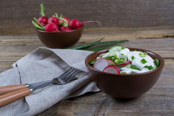 Ingredients for vitamin spring salad: green onion, radish, cucumber, sour cream. 