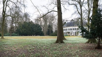 Old Dutch mansion with parc and forrest full of snowbells in Amelisweerd Utrecht