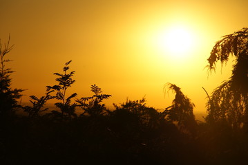 Obraz premium sunset