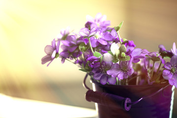 Bucket of flowers on the table with blurred background on a sunny day