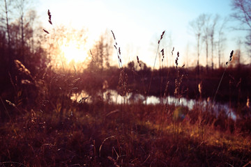 Fall forest landscape river amazing autumn background