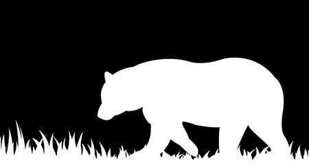 Silhouette of bear in the grass.