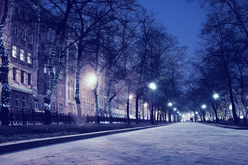 Fototapeta na wymiar New Year's photos of the city, city street illumination
