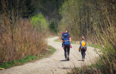 Family walking by the road in a forest