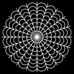 white spider web - Cobweb vector  on black background - illustration
