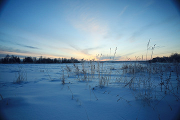 Winter landscape in the countryside forest snow field