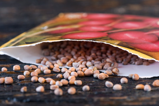 Radish Seeds Spilled From A Seed Packet